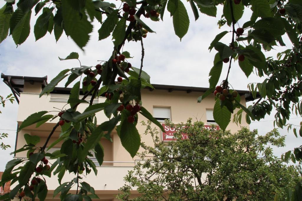 Rooms Villa Aria Сесвете Екстериор снимка